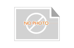 High Quality fuel injection nozzle L020CVA Diesel Injector Nozzle L430PBA for Perkins B06003A B06005A 28458241 28280901