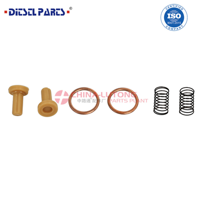 2 447 010 011 Kit de reparación de la bomba VE del motor diesel 2 447 010 011 / 2 447 01 011 para Dongfeng Tianlong KL VL para Renault.