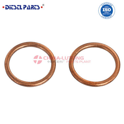 2 447 010 011 Kit de reparación de la bomba VE del motor diesel 2 447 010 011 / 2 447 01 011 para Dongfeng Tianlong KL VL para Renault.