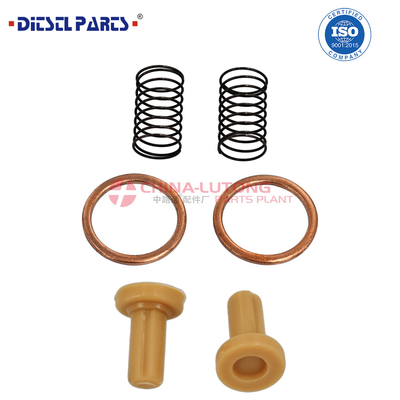 2 447 010 011 Kit de reparación de la bomba VE del motor diesel 2 447 010 011 / 2 447 01 011 para Dongfeng Tianlong KL VL para Renault.