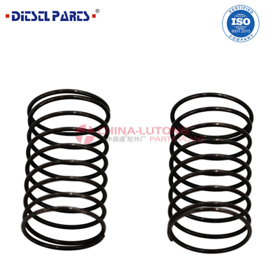 2 447 010 011 Kit de reparación de la bomba VE del motor diesel 2 447 010 011 / 2 447 01 011 para Dongfeng Tianlong KL VL para Renault.