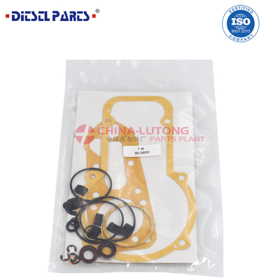 Venta de fábrica de alta calidad de reparación 80 0655 equipo de reparación de bombas de combustible fabricante al por mayor 800655 equipos de reparación de bombas de aceite